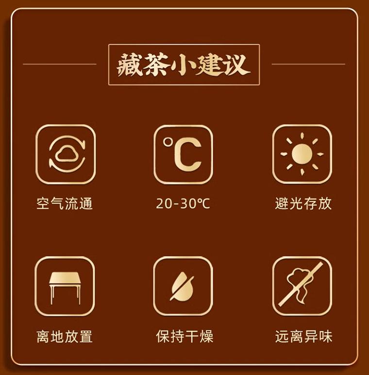 通3