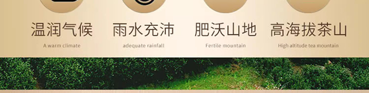 白7