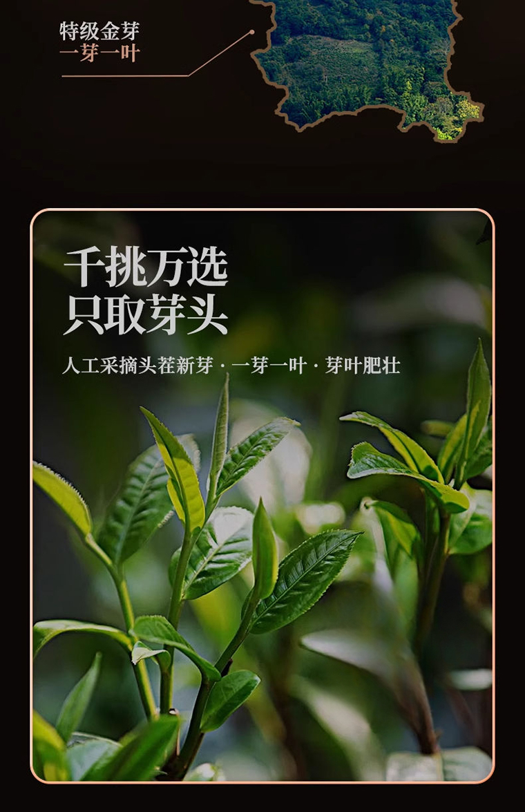 红2