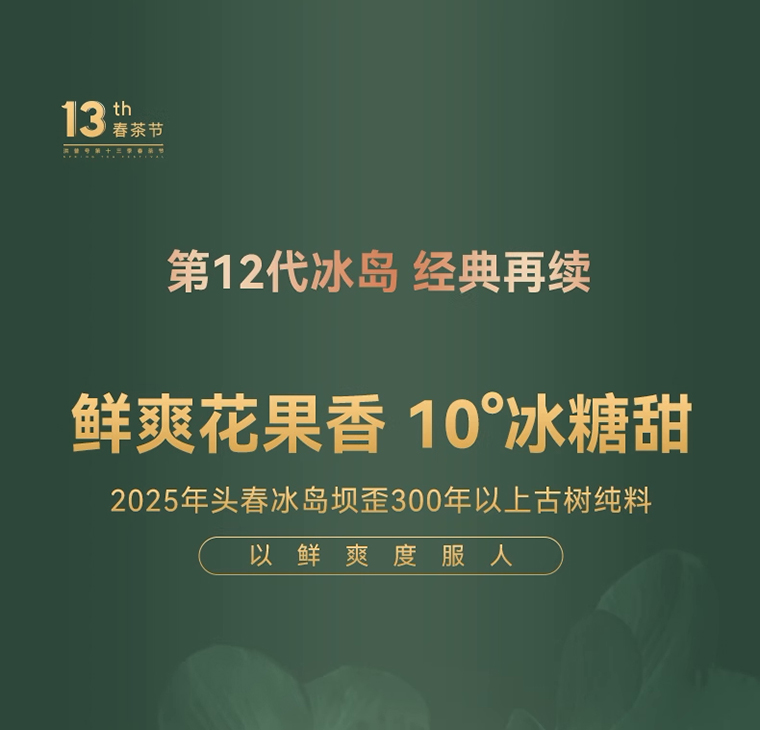 冰岛母树详 (4)