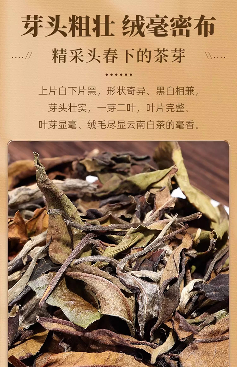 冰岛老寨白茶详 (11)