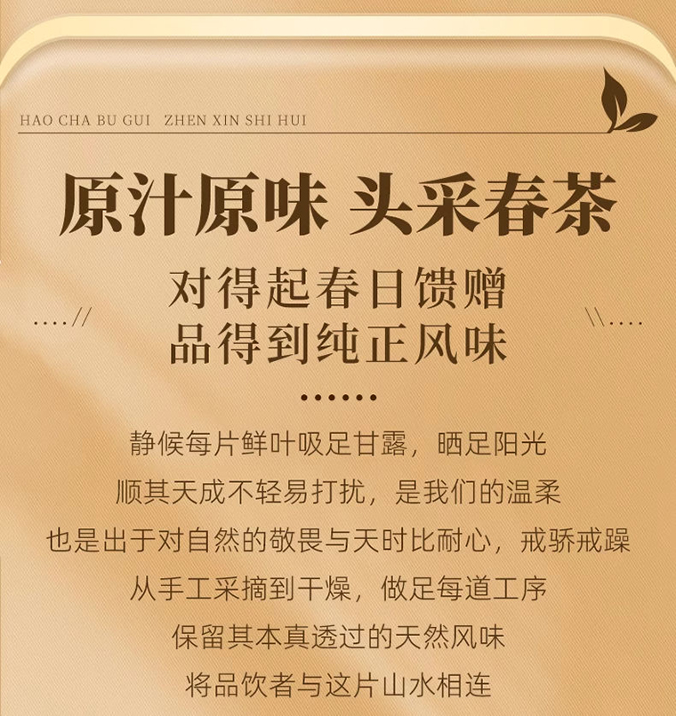 冰岛老寨白茶详 (8)