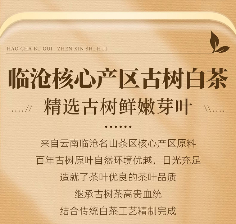 冰岛老寨白茶详 (5)