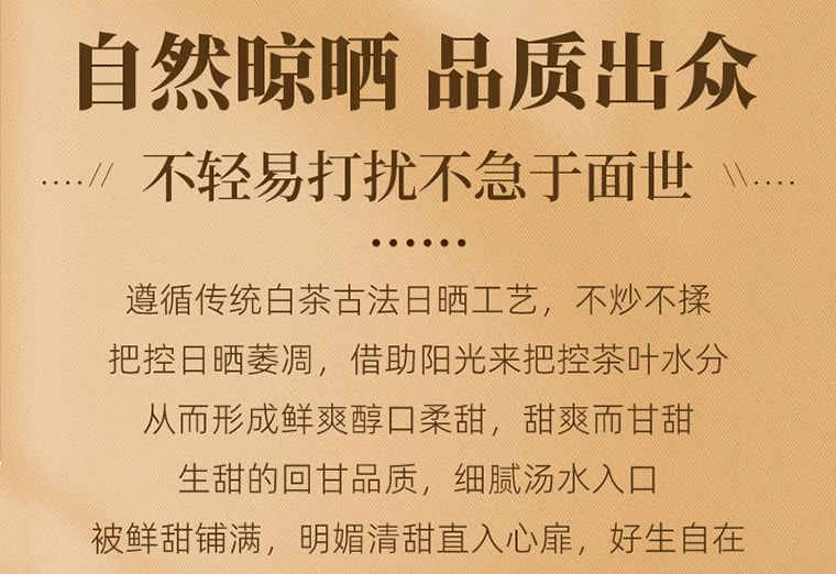 冰岛老寨白茶详 (10)