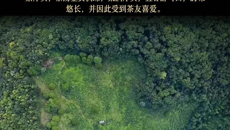 凤凰2