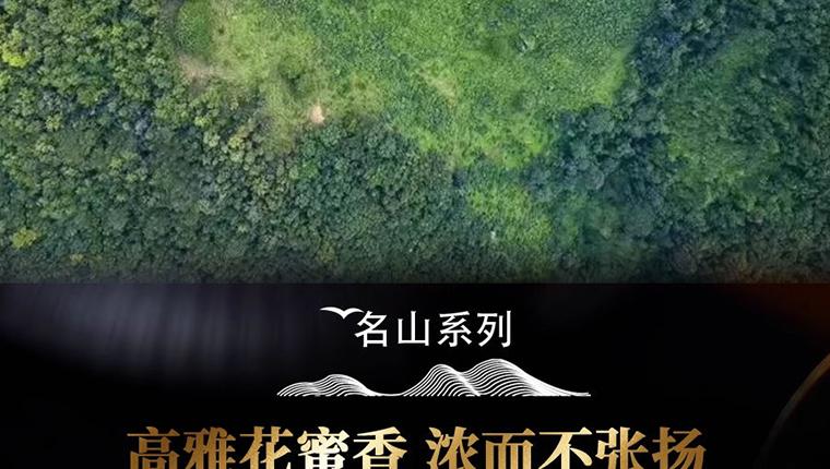 凤凰3