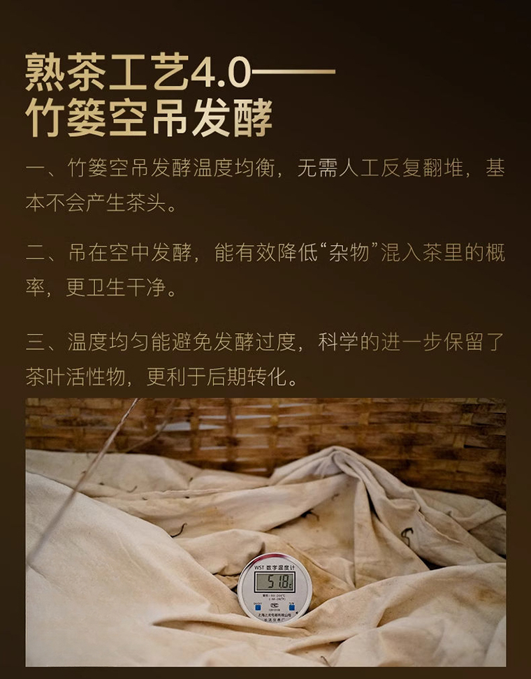麻黑熟龙珠详 (3)
