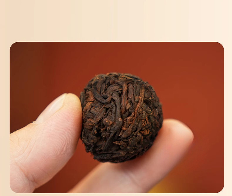 麻黑熟龙珠详 (2)