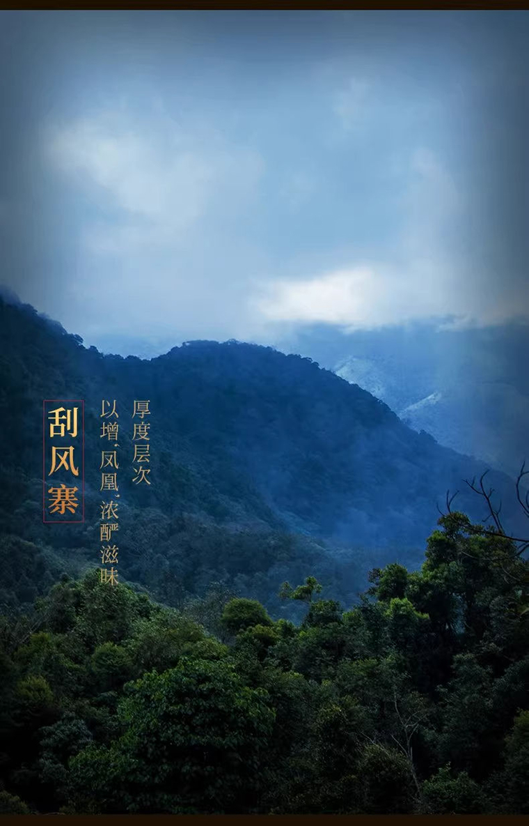 凤凰窝生 (6)