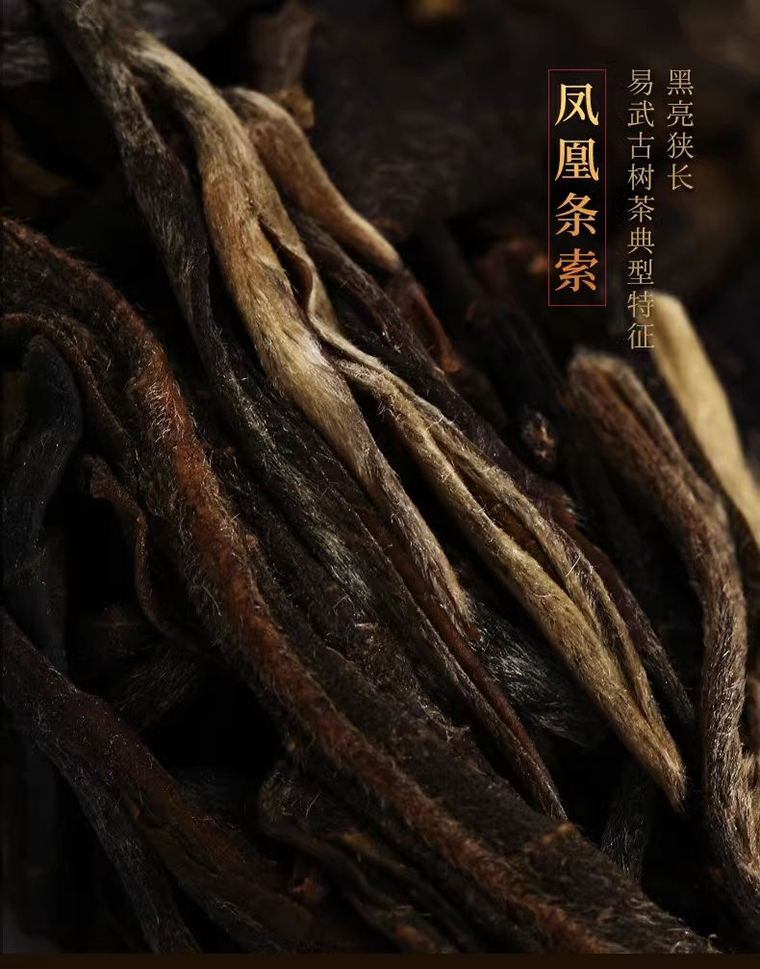 凤凰窝生 (7)