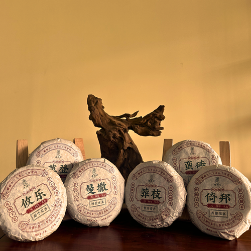 璞润元古茶【古六之韵】古六大茶山生茶合集一套6饼共600g