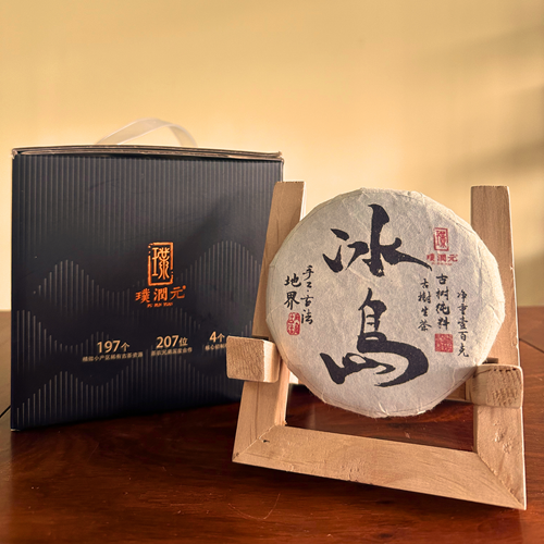 璞润元古茶【冰岛地界】古树春茶普洱茶100g