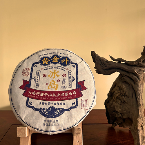 璞润元古茶【冰岛黄金叶】头春头采古树春茶冰糖甜韵357g