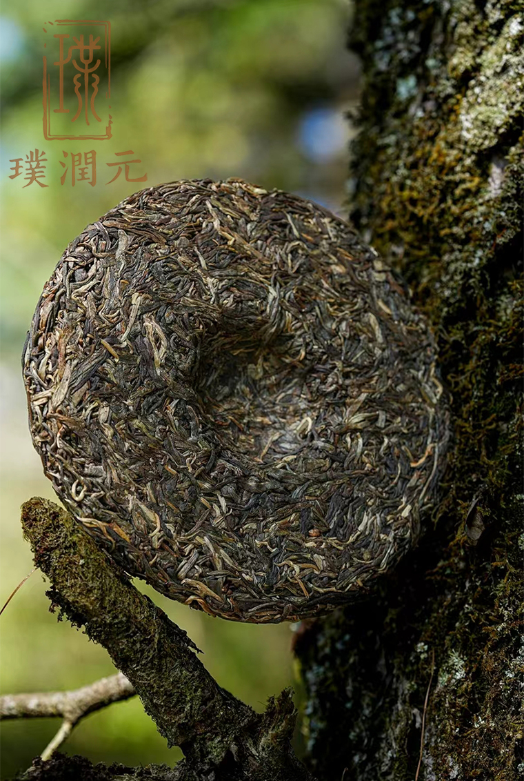 生详6