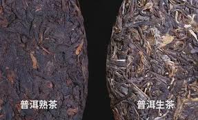 The Ultimate Guide to Raw Pu'er Tea vs. Cooked Pu'er Tea: An Article to Help You Understand the Yin and Yang of the Millennium Tea Rhyme